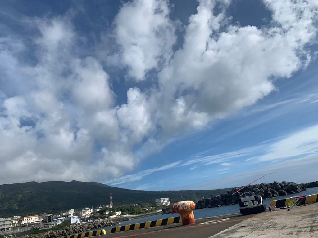 伊豆大島・元町港で釣れたヒラマサ