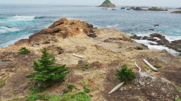 南伊豆・タカンバでのカゴ釣り