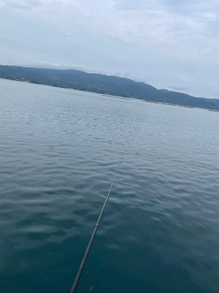 沼津・重寺港で釣れたイナダ