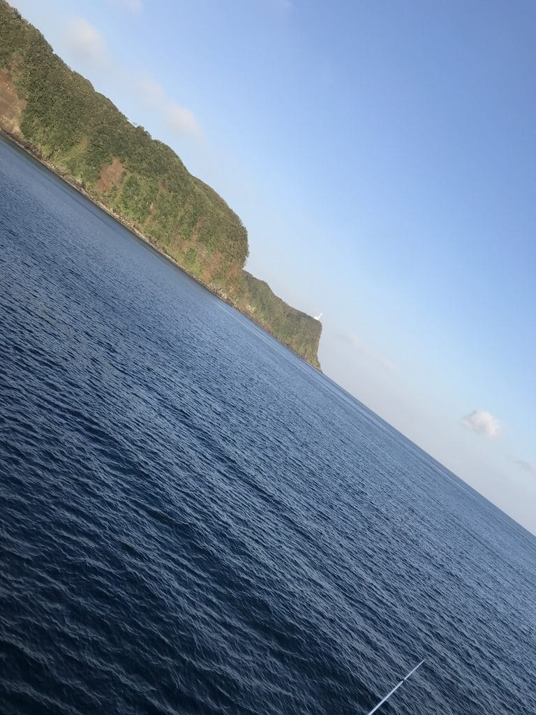 伊豆大島・岡田港で泳がせ釣りでキャッチしたワラサ