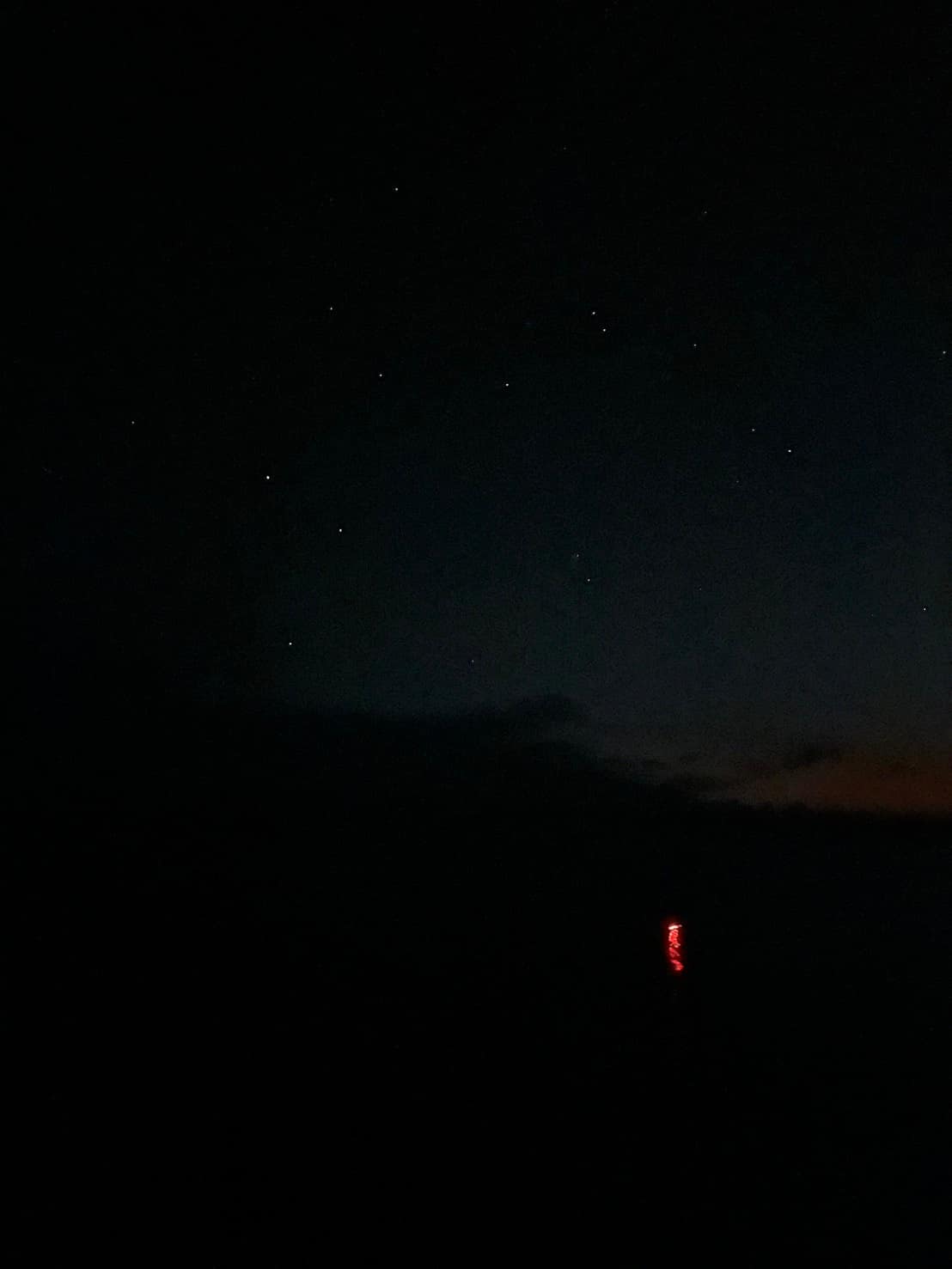 八丈島・神湊漁港で夜釣りで釣れた約35cmのメアジ